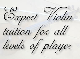 Expert Violin Lessons